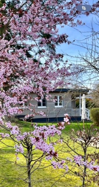 Ferienhaus Meine Insel Scheid  Dış mekan fotoğraf